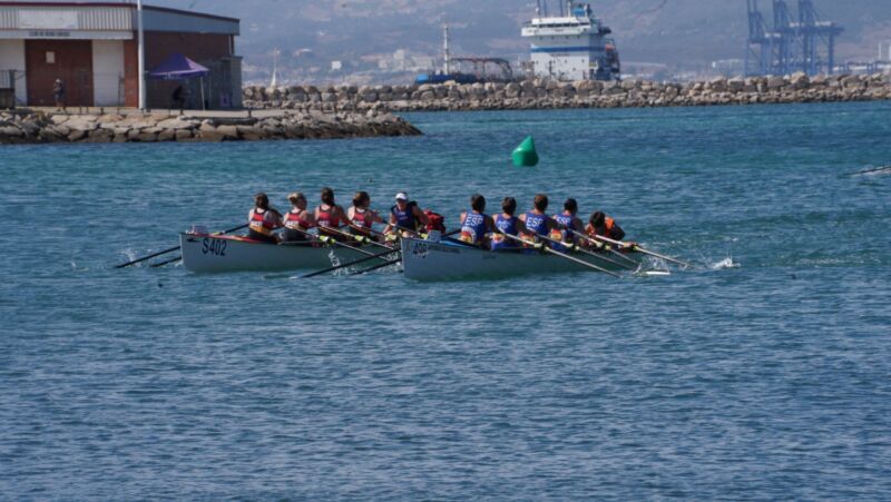 Image for the Tweet beginning: Oro europeo de remo de